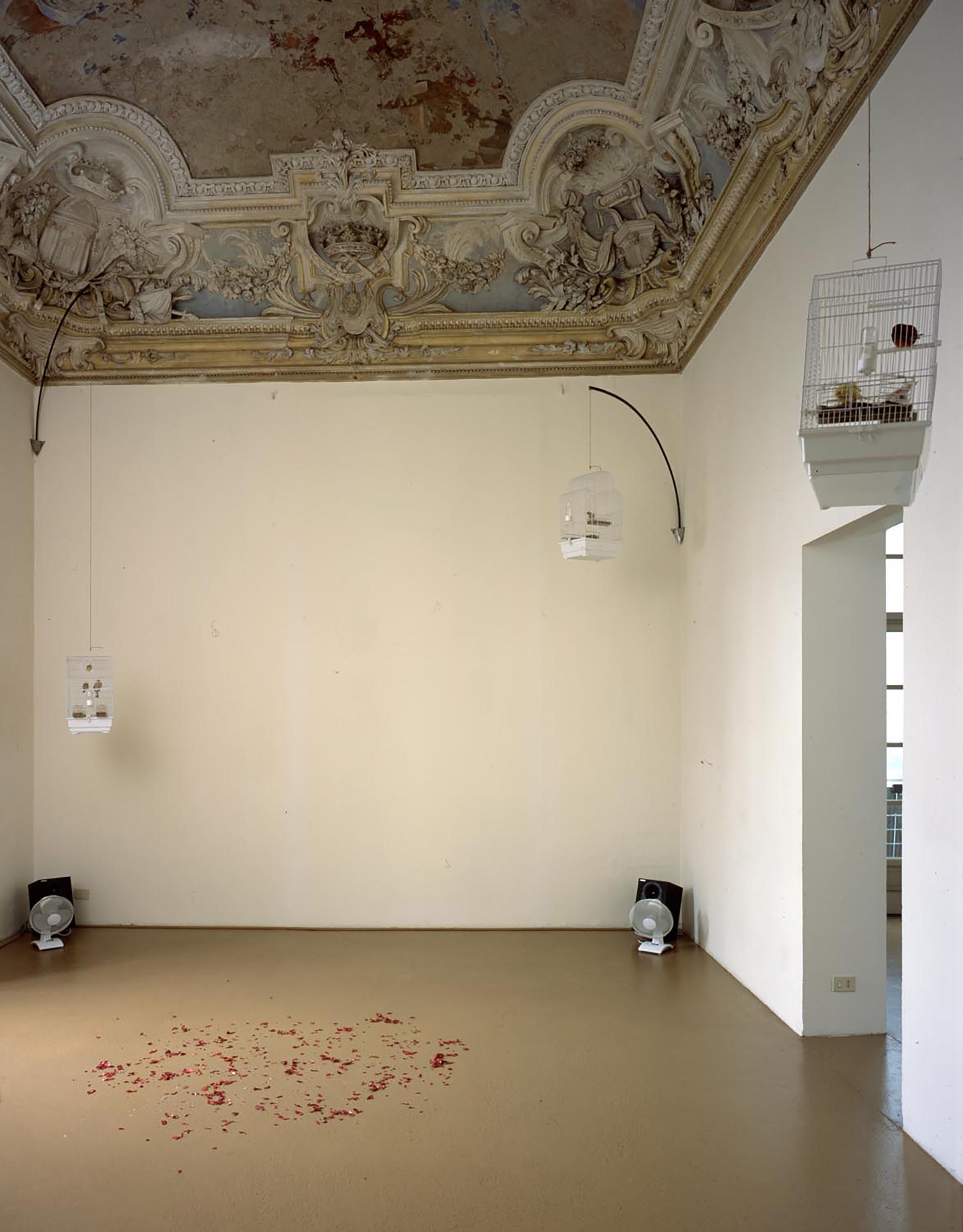 Bruna Esposito, Sereno-variabile, 2002 (detail)